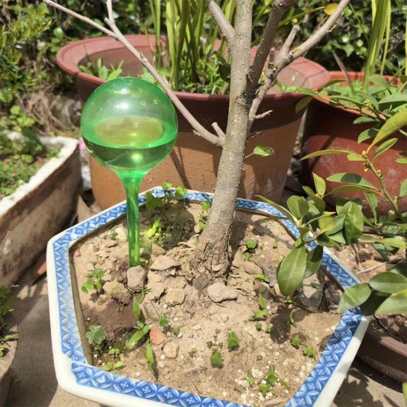 6PCS Indoor Plants Self Wateri - đánh giá và giá Automatic Plant Waterer