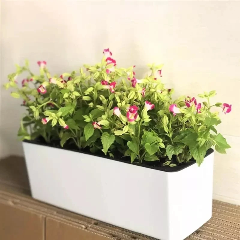 Rectangula Lazy Flower Pot Pot - đánh giá và giá Automatic Plant Waterer