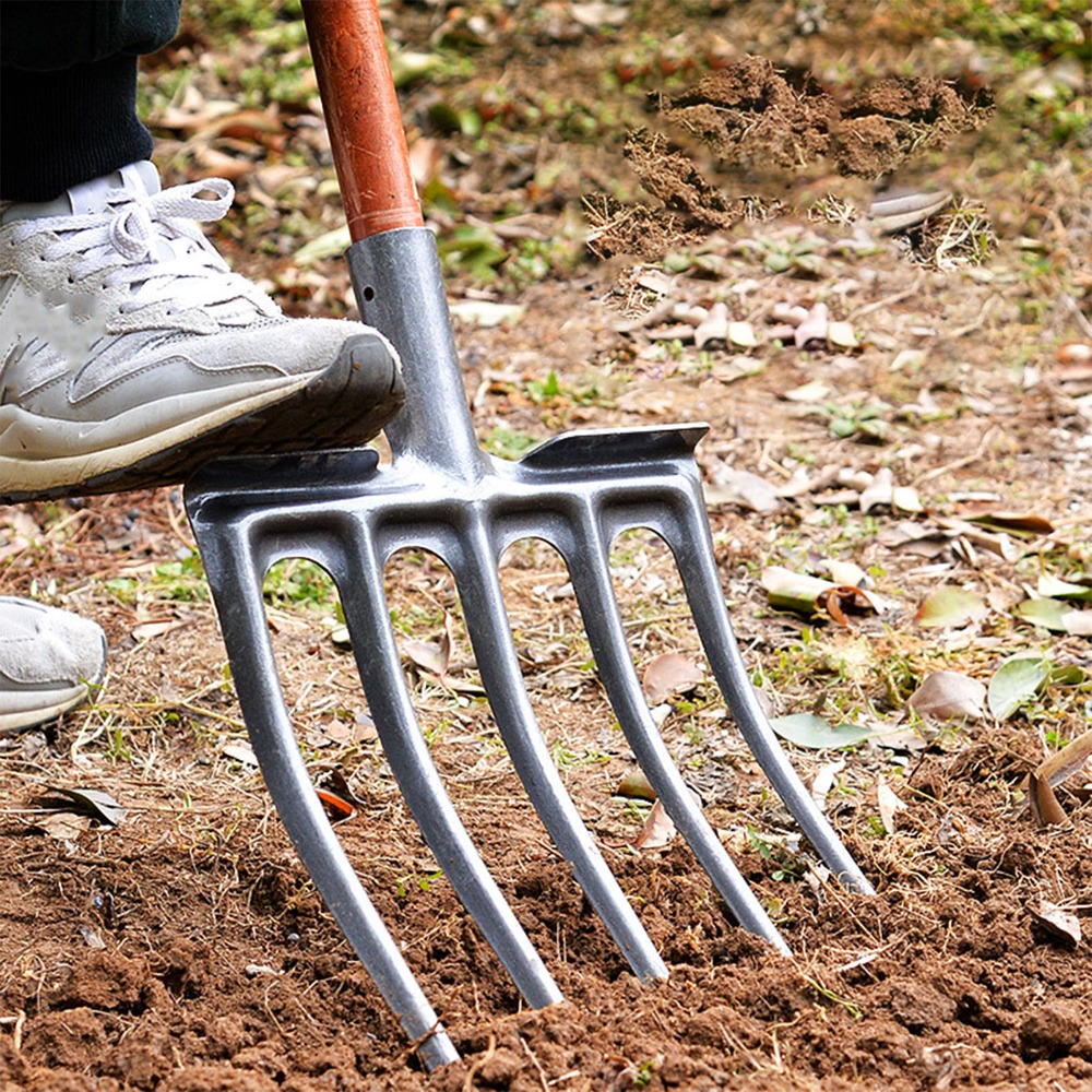 Sturdy High Carbon Steel Diggi - đánh giá và giá Spade Digging Fork